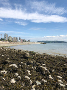 Dundarave Beach Panorama #2 - Transparent Window Art